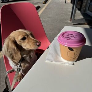 Meet your Posher, Chanel